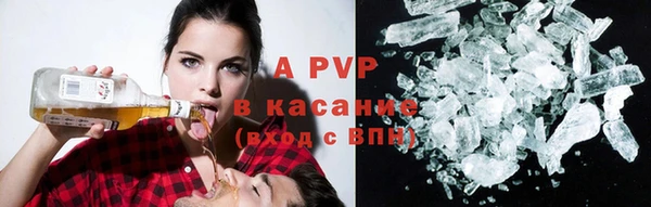 твердый Богданович