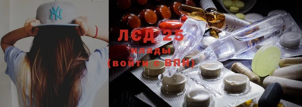 СК Богородицк