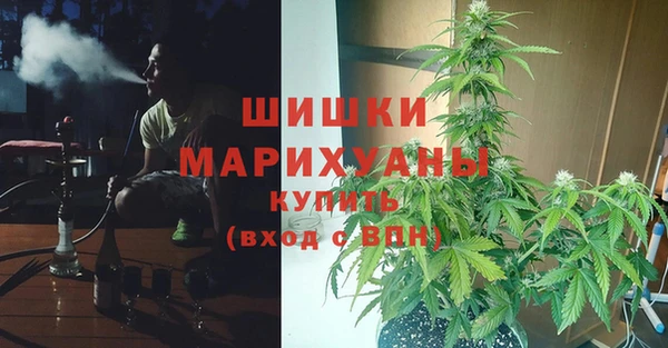 твердый Богданович
