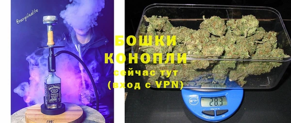 ECSTASY Богородск