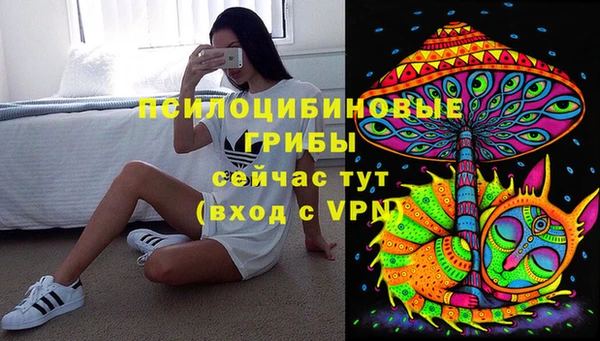 ECSTASY Богородск