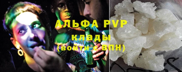 твердый Богданович