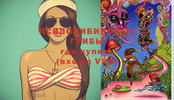 СК Богородицк
