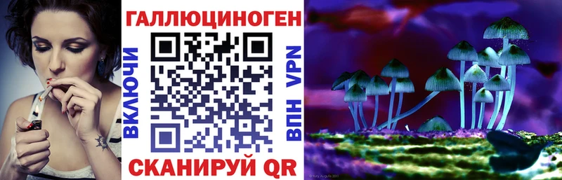 Псилоцибиновые грибы Psilocybe купить наркотик Миньяр